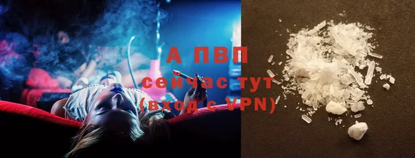 хмурый Михайлов