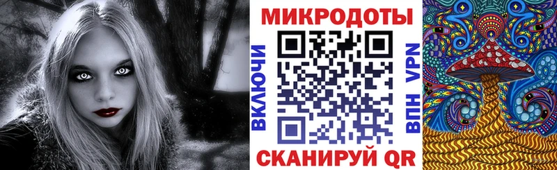 Псилоцибиновые грибы Cubensis  Купить где  Тамбов 